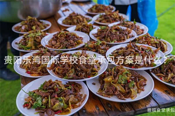 貴陽樂灣國際學校食堂承包方案是什么？