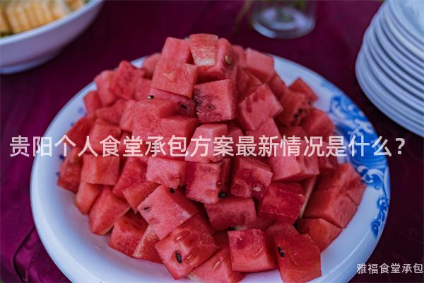 貴陽個人食堂承包方案最新情況是什么？